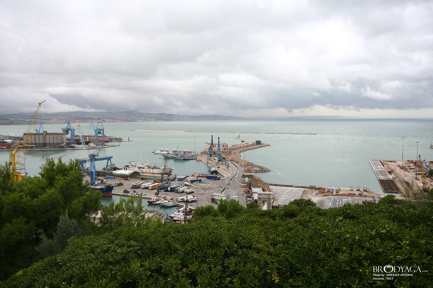 Ancona